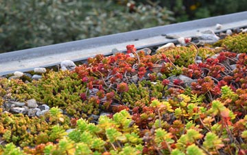 the cost of St Columb Road green roof installation
