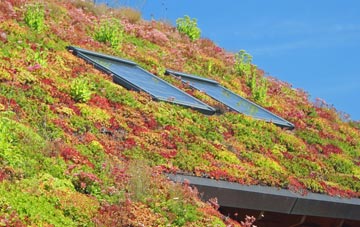 St Columb Road living roof systems